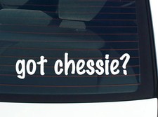 Listing image for got chessie? CAR DECAL BUMPER STICKER VINYL FUNNY JOKE WINDOW