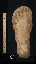 Listing image for 1982 Grays Harbor Heryford Bigfoot print cast "C"