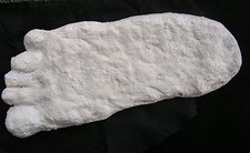 Listing image for Cryptozoology REPLICA BIGFOOT Footprint 1964 - WHITE