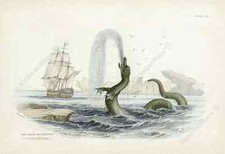 Listing image for Antique print GREAT SEA SERPENT Jardine Egede 1833 wall art decor gift poster
