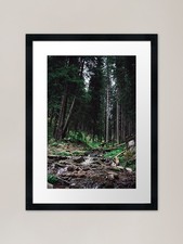 Listing image for A wild forest in which no man has s Framed Wall Art Poster Canvas Print Picture